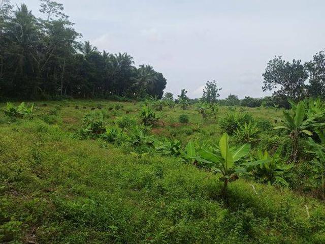 Tanah dijual di Pandeglang, Pandeglang