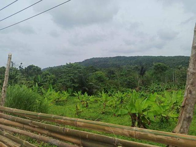 Tanah dijual di Pandeglang, Pandeglang