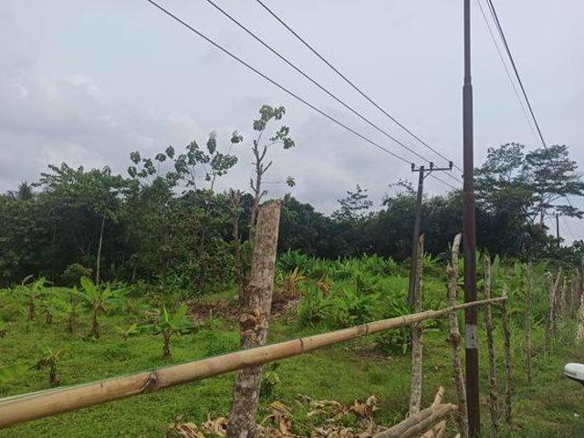 Tanah dijual di Pandeglang, Pandeglang