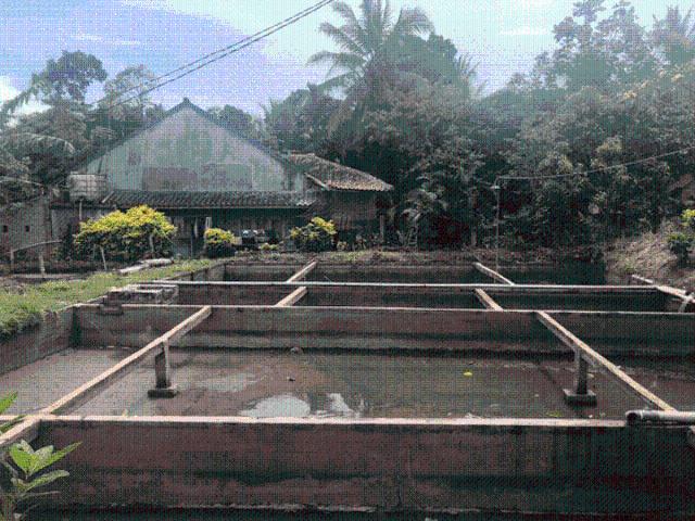 Tanah dijual di Pandeglang