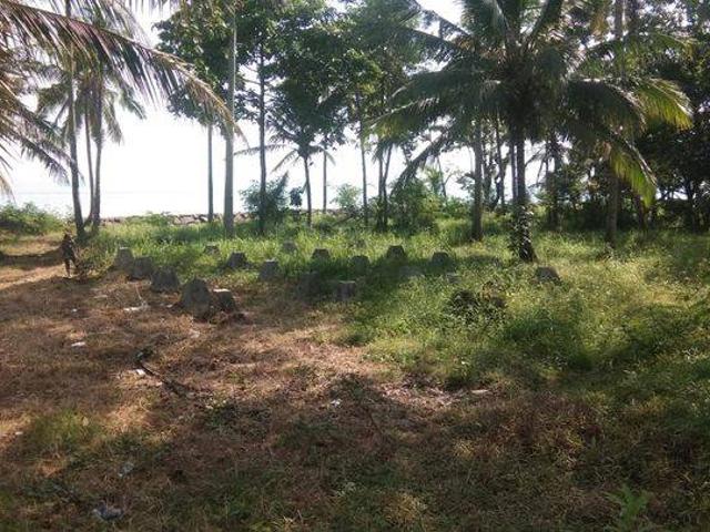 Tanah dijual di Pandeglang, Pandeglang