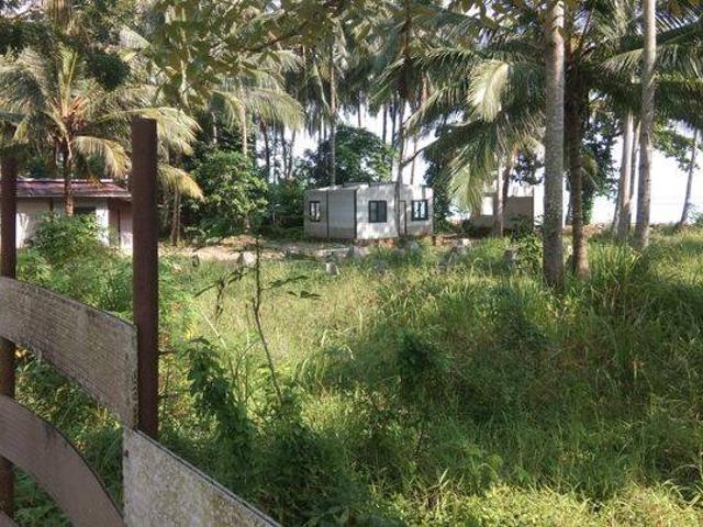 Tanah dijual di Pandeglang, Pandeglang