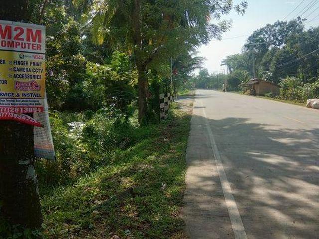Tanah dijual di Pandeglang, Pandeglang