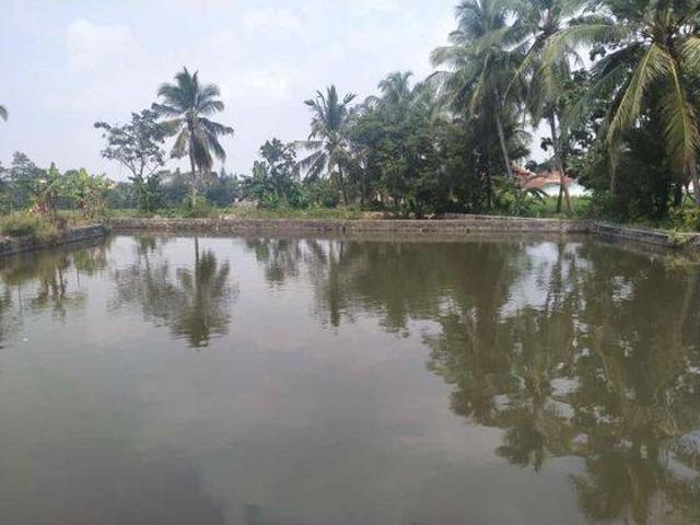 Tanah dijual di Pandeglang, Pandeglang