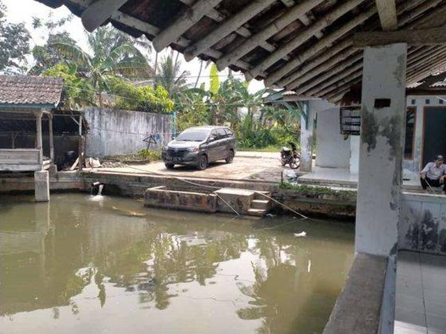 Tanah dijual di Pandeglang, Pandeglang