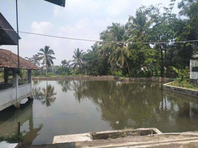 Tanah dijual di Pandeglang, Pandeglang