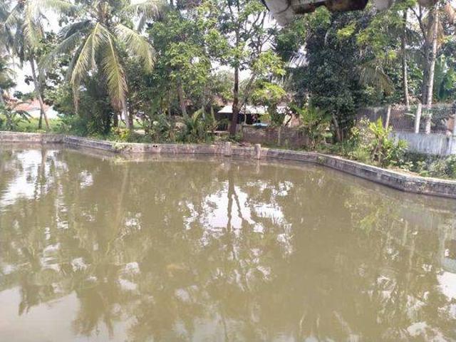 Tanah dijual di Pandeglang, Pandeglang