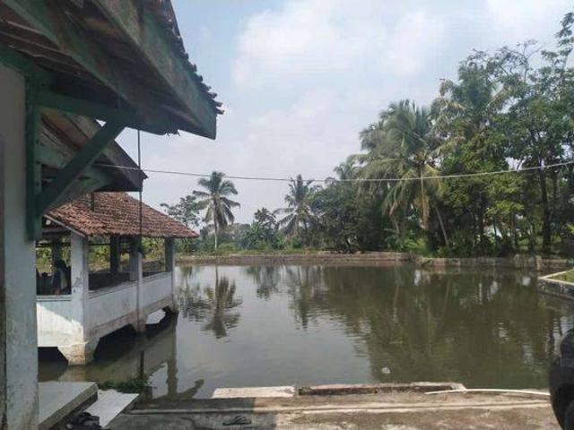 Tanah dijual di Pandeglang, Pandeglang