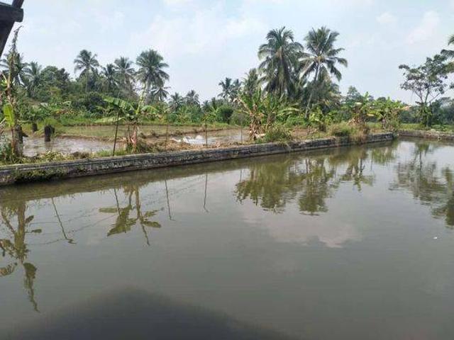 Tanah dijual di Pandeglang, Pandeglang