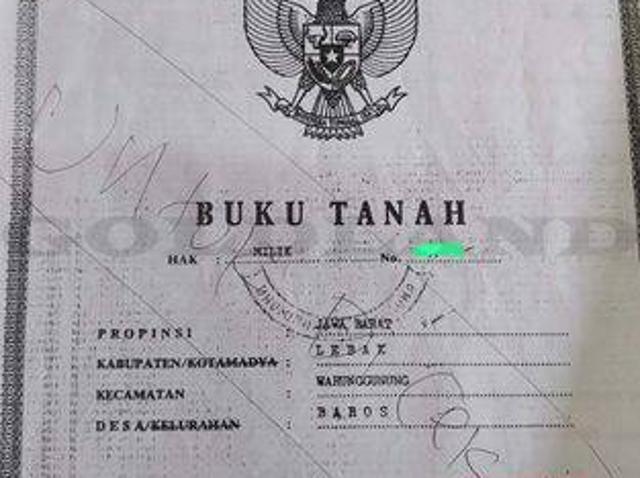 Tanah dijual di Pandeglang, Pandeglang