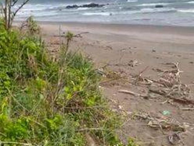 Tanah dijual di Panggarangan, Lebak