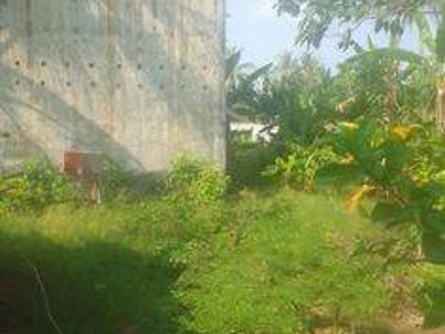 Tanah dijual di Panimbang, Pandeglang