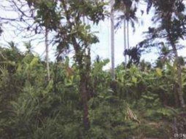 Tanah dijual di Panimbang, Pandeglang