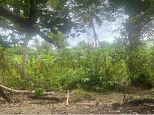 Tanah dijual di Panimbang, Pandeglang