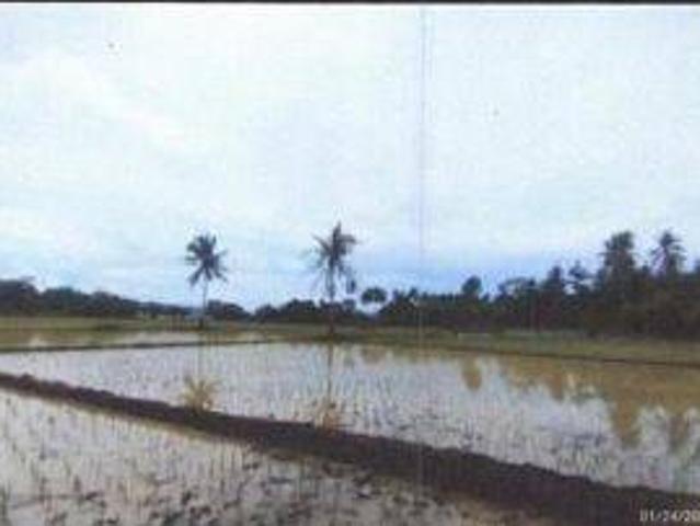 Tanah dijual di Panimbang, Pandeglang