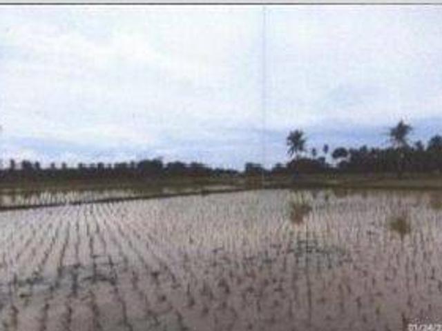 Tanah dijual di Panimbang, Pandeglang