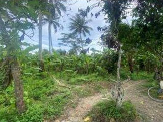 Tanah dijual di Panimbang, Pandeglang