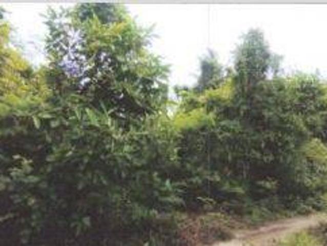 Tanah dijual di Panimbang, Pandeglang
