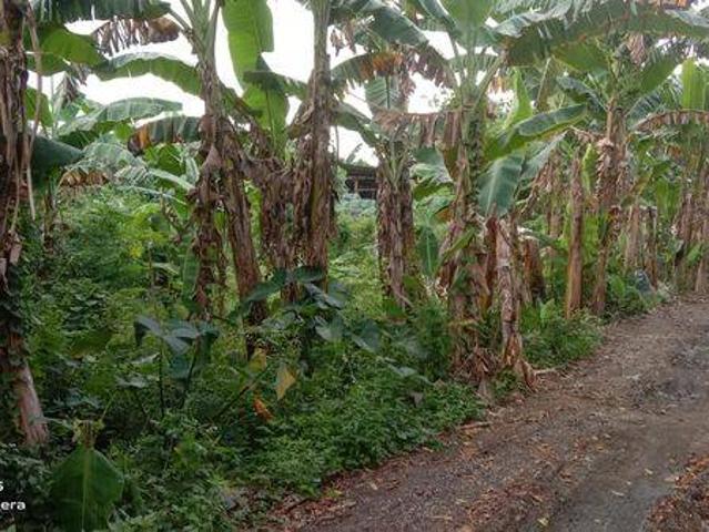 Tanah dijual di Pasar Kemis, Tangerang