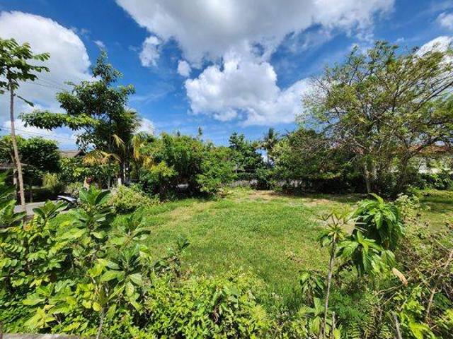 Tanah dijual di Pererenan, Badung