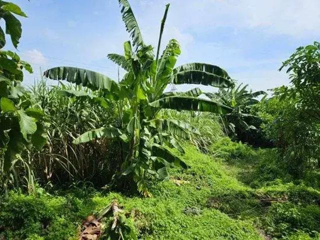 Tanah dijual di Pesantren, Kediri