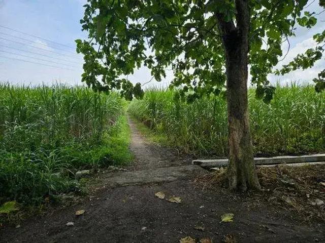Tanah dijual di Pesantren, Kediri