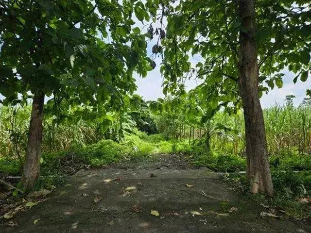 Tanah dijual di Pesantren, Kediri