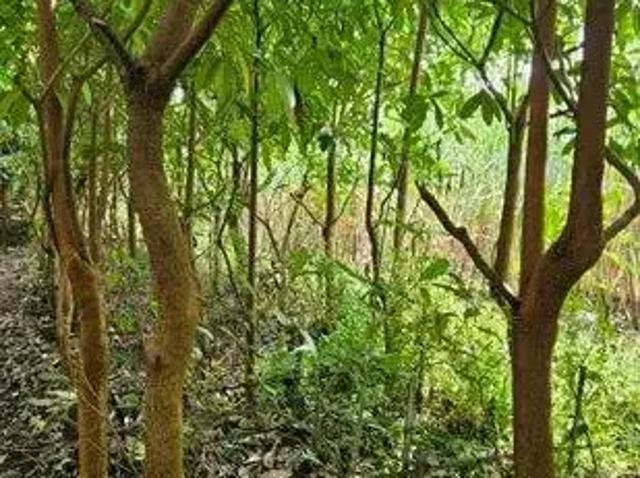 Tanah dijual di Pesantren, Kediri