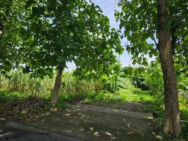 Tanah dijual di Pesantren, Kediri