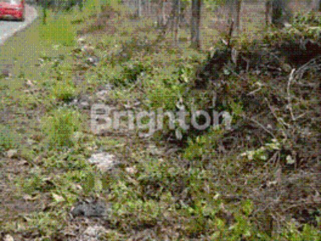 Tanah dijual di Rangkasbitung, Lebak