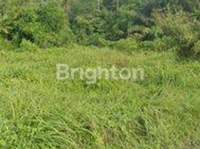 Tanah dijual di Rangkasbitung, Lebak
