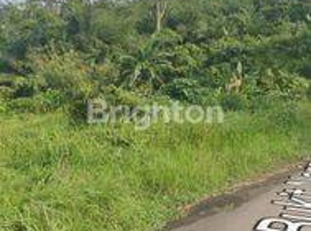 Tanah dijual di Rangkasbitung, Lebak