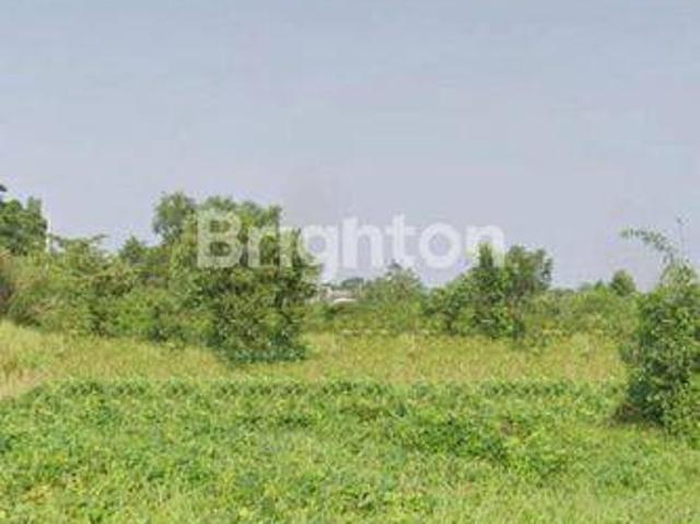 Tanah dijual di Rangkasbitung, Lebak