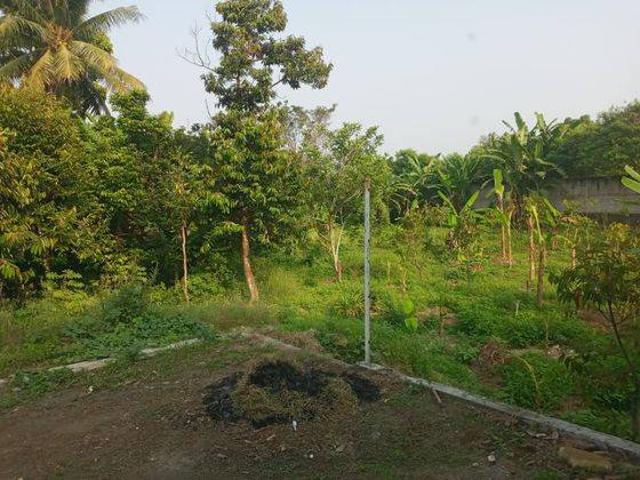 Tanah dijual di Rangkasbitung, Lebak