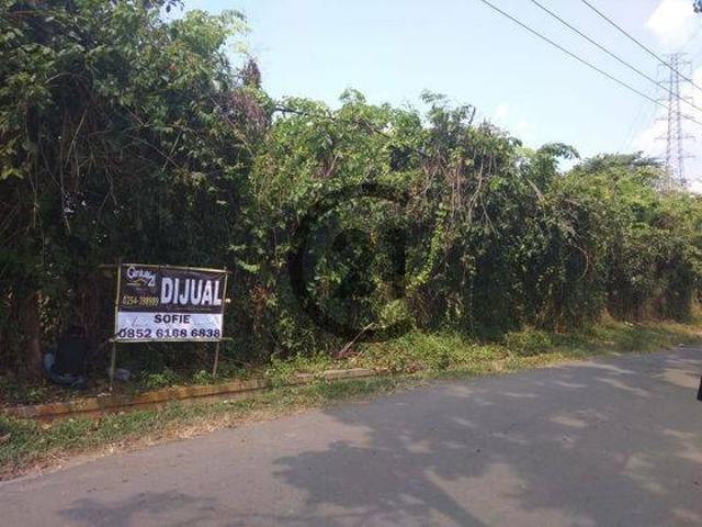 Tanah dijual di Lebak