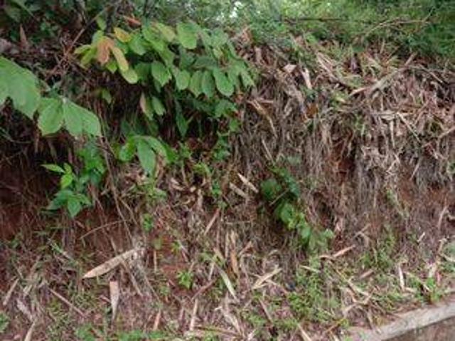 Tanah dijual di Rangkasbitung, Lebak