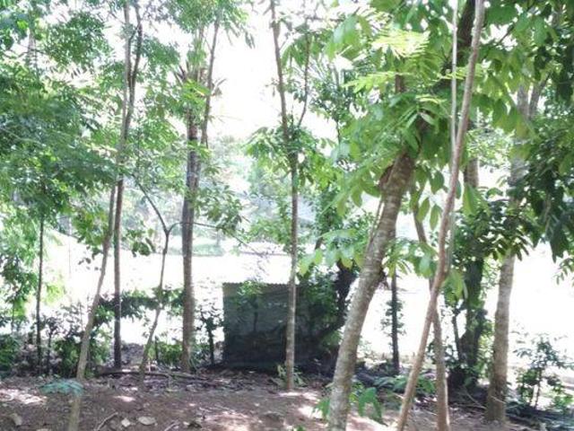 Tanah dijual di Rangkasbitung, Lebak