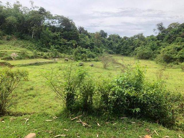 Tanah dijual di Rangkasbitung, Lebak
