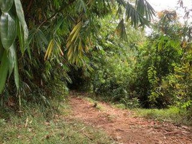 Tanah dijual di Rangkasbitung, Lebak