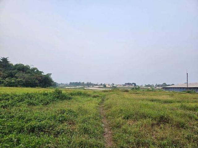 Tanah dijual di Rangkasbitung, Lebak