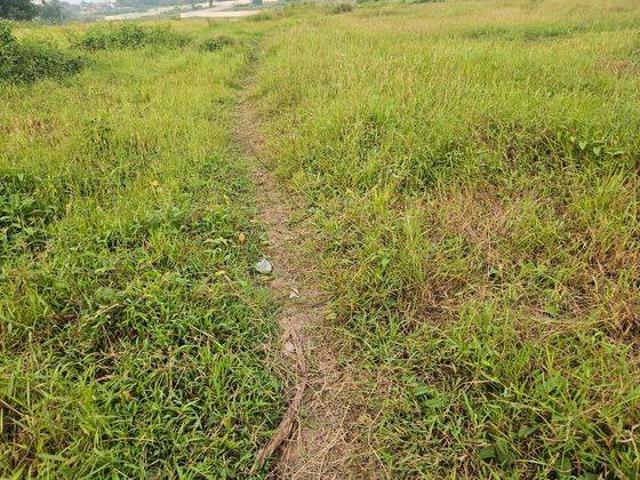 Tanah dijual di Rangkasbitung, Lebak