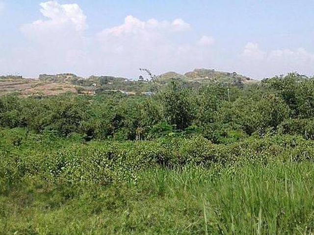 Tanah dijual di Rangkasbitung, Lebak