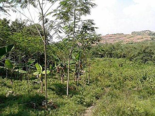 Tanah dijual di Rangkasbitung, Lebak