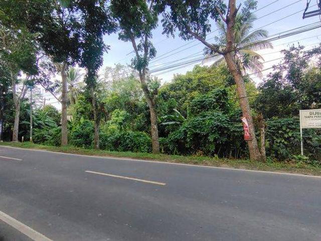 Tanah dijual di Rangkasbitung, Lebak
