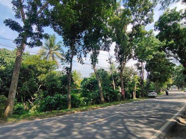 Tanah dijual di Rangkasbitung, Lebak