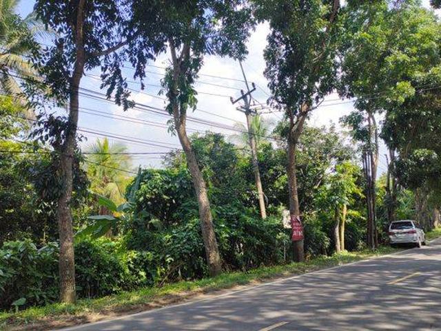 Tanah dijual di Rangkasbitung, Lebak