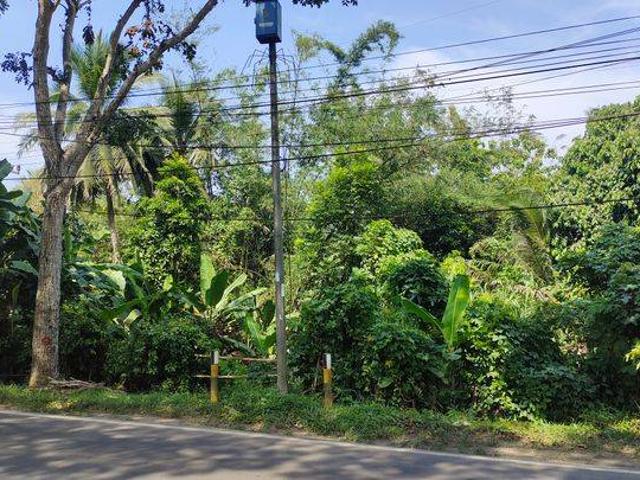 Tanah dijual di Rangkasbitung, Lebak