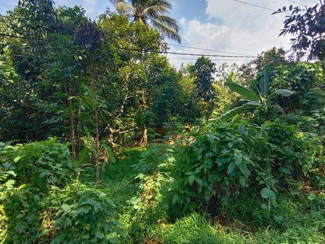 Tanah dijual di Rangkasbitung, Lebak