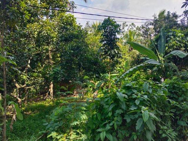 Tanah dijual di Rangkasbitung, Lebak
