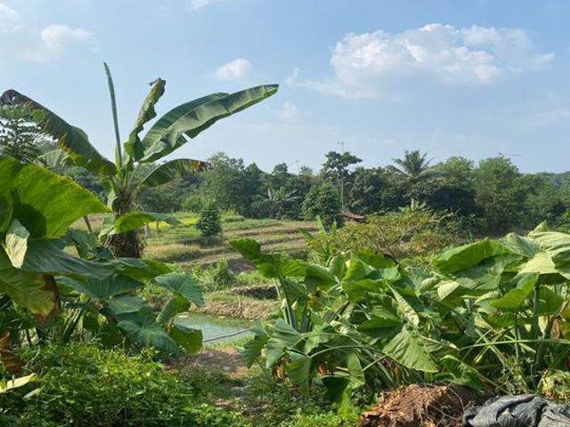 Tanah dijual di Rangkasbitung, Lebak